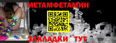 прущие грибы Дубна