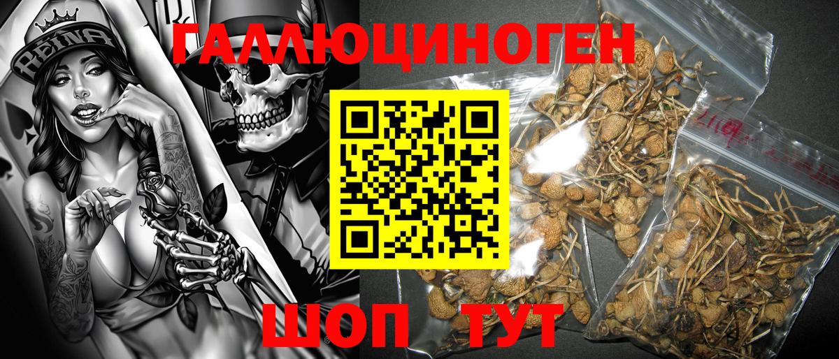 ЭКСТАЗИ Ирбит